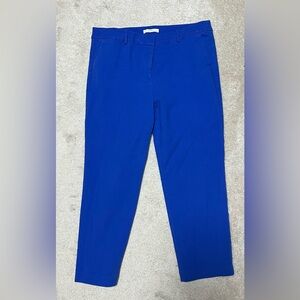 LOFT Royal Blue Garment